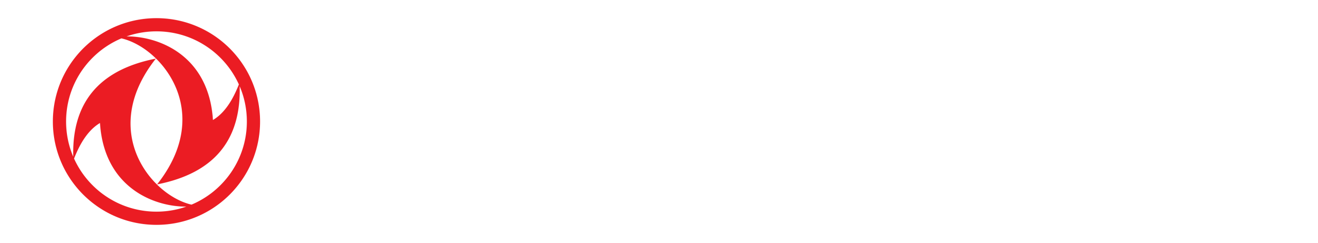 DONGFENG LOGO reverse